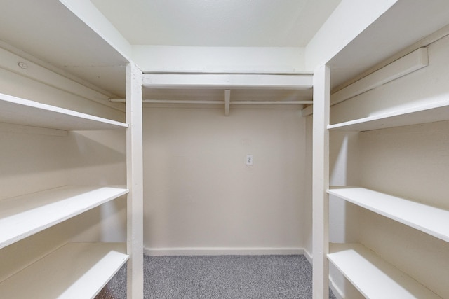 spacious closet featuring carpet