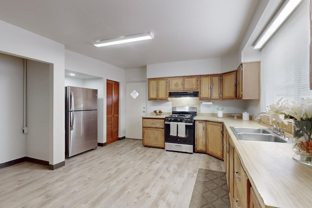 kitchen featuring light hardwood / wood-style flooring, stainless steel appliances, range hood, and sink