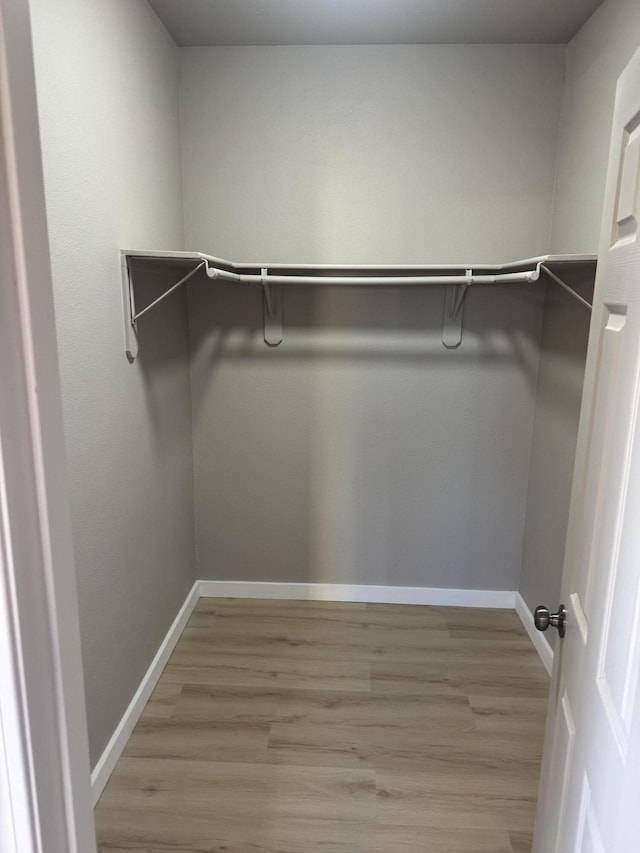 walk in closet featuring light hardwood / wood-style flooring