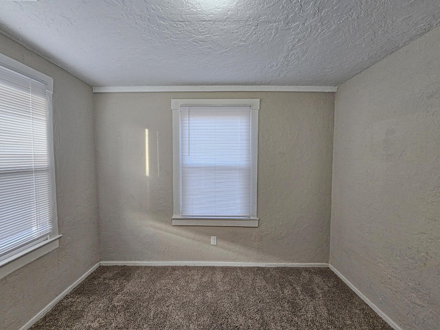 unfurnished room with carpet flooring and a textured ceiling