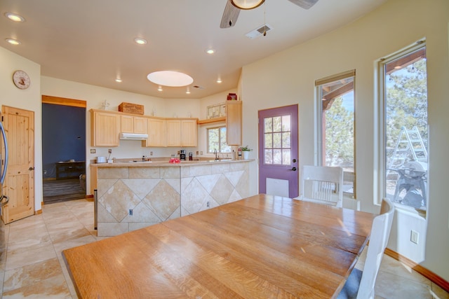 interior space featuring ceiling fan and sink