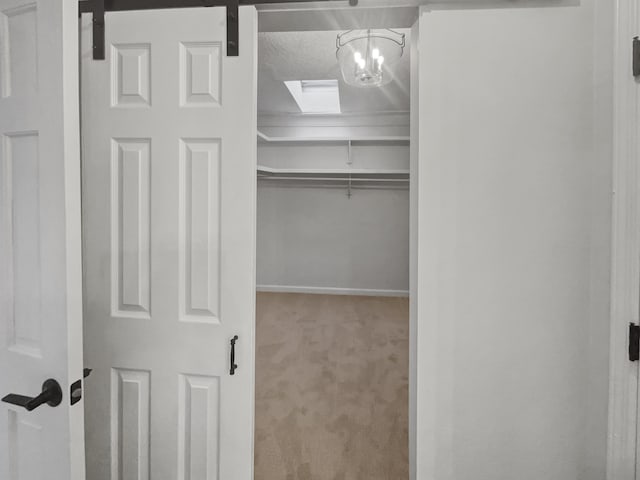 437 El Llano Ln NW, Los Ranchos, NM 87107 - spacious closet with carpet flooring