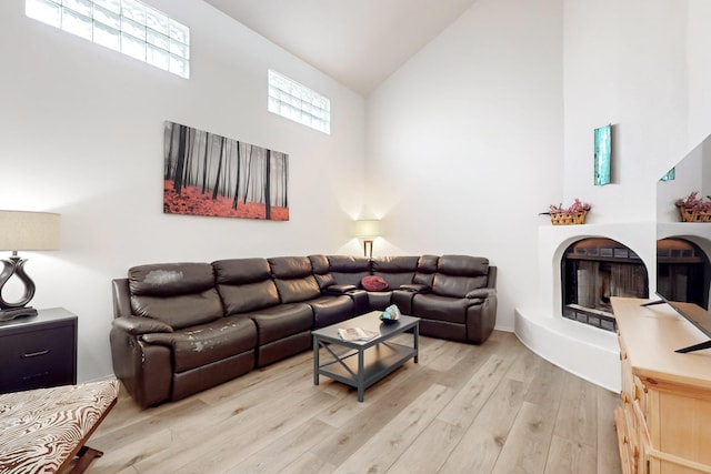 living room featuring light wood-type flooring