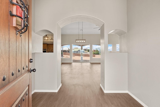 foyer featuring ceiling fan and dark wood-type flooring