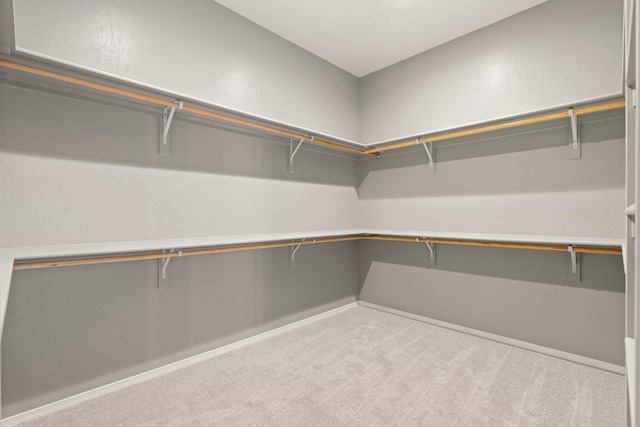 walk in closet featuring light colored carpet