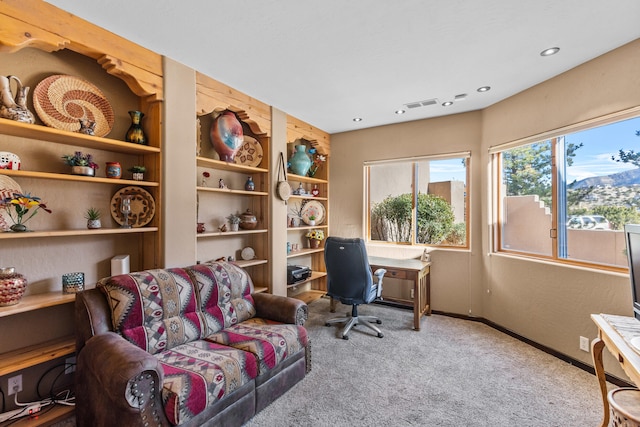 carpeted office with built in shelves