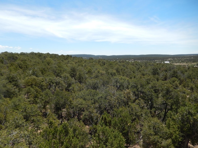 40 Alta Vista Rd, Tijeras, NM 87059