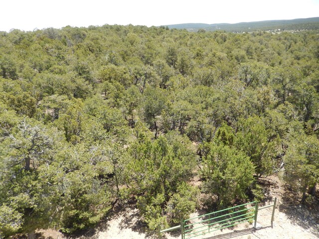 40 Alta Vista Rd, Tijeras, NM 87059