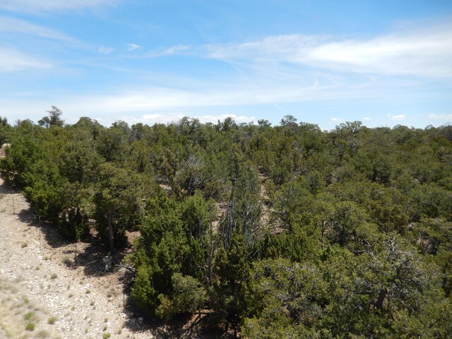 40 Alta Vista Rd, Tijeras, NM 87059