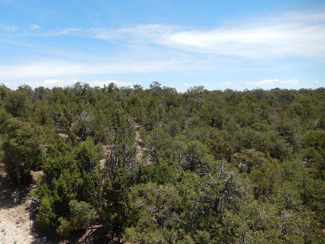 40 Alta Vista Rd, Tijeras, NM 87059