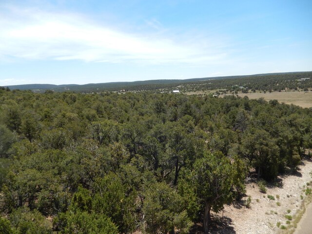 40 Alta Vista Rd, Tijeras, NM 87059
