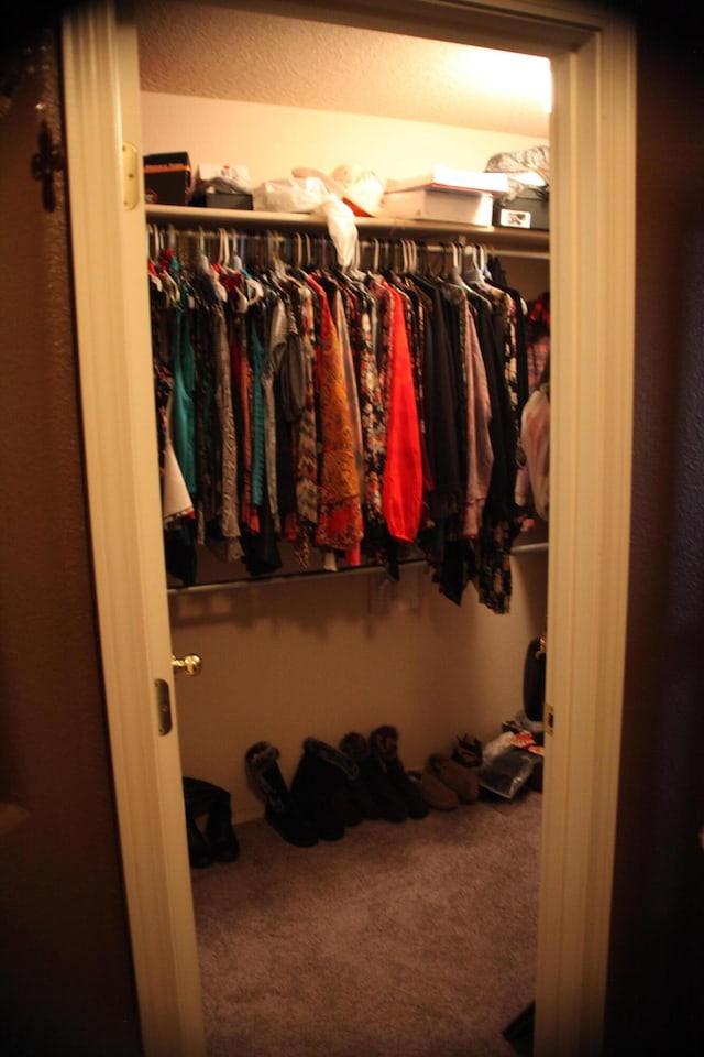 walk in closet with carpet flooring