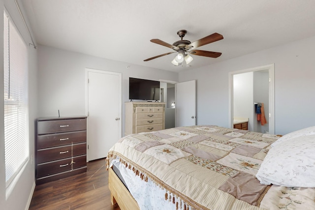 bedroom with dark wood-type flooring, ceiling fan, connected bathroom, and multiple windows