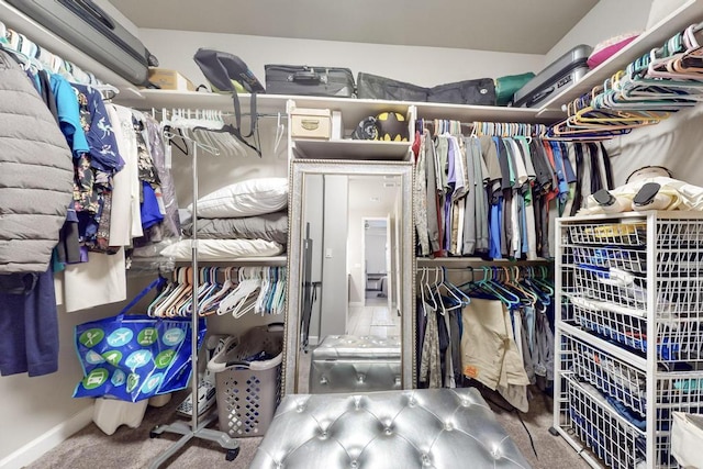 walk in closet with carpet floors