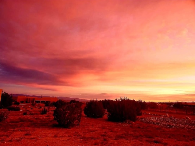 view of nature at dusk