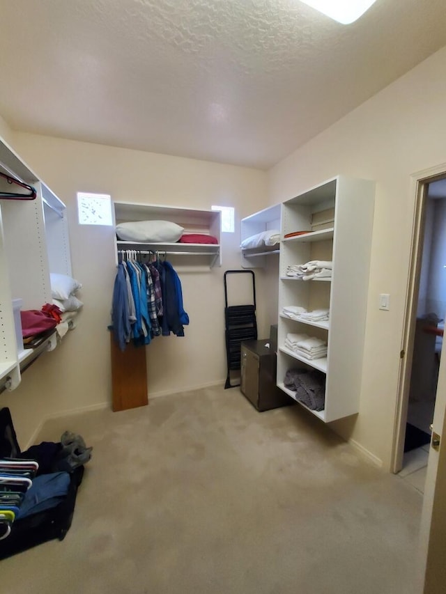 walk in closet with light carpet