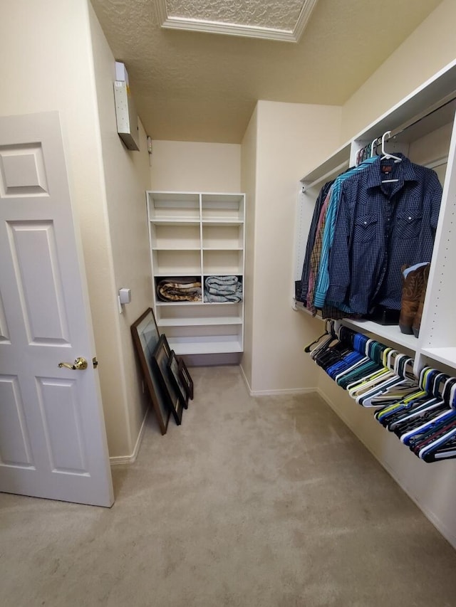 walk in closet featuring light colored carpet