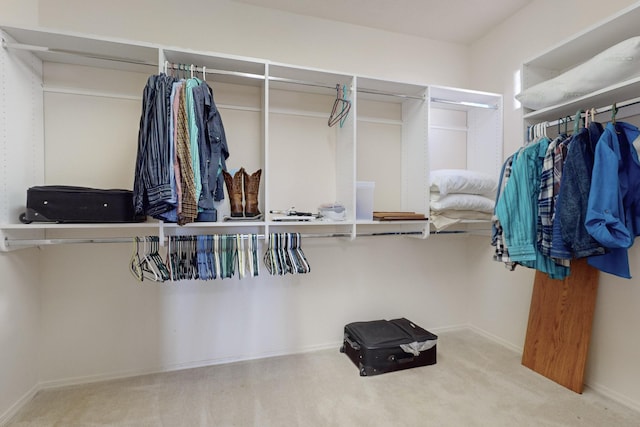 walk in closet with carpet floors