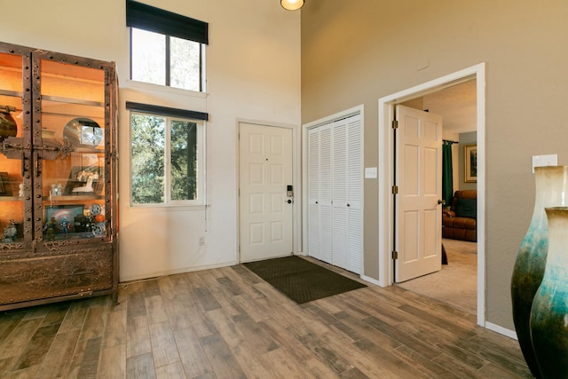 entryway with hardwood / wood-style floors and a high ceiling