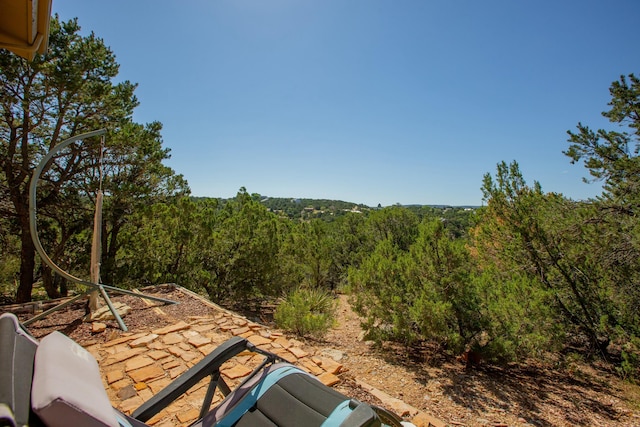 view of local wilderness