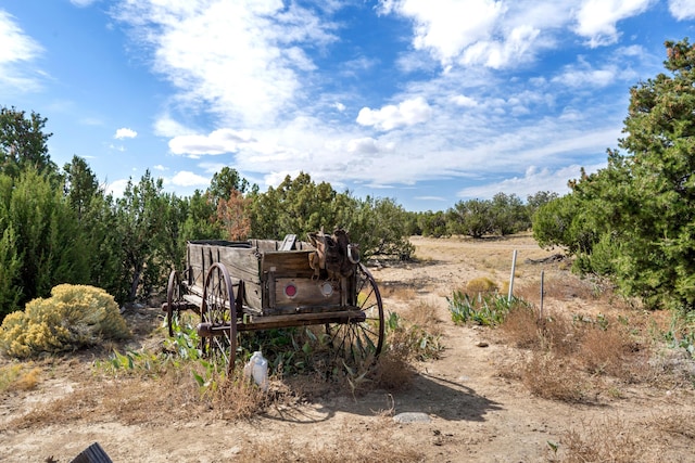 view of yard featuring a rural view