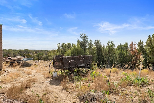 view of local wilderness