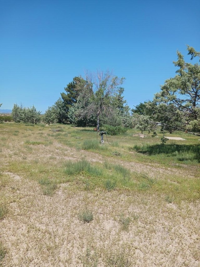 view of landscape with a rural view