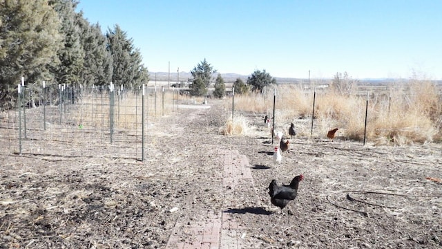 view of yard featuring a rural view