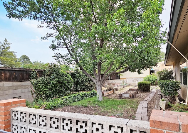 6311 Driscoll Ave NE, Albuquerque, NM 87109 - fenced backyard featuring a garden