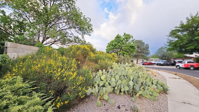 6311 Driscoll Ave NE, Albuquerque, NM 87109 - view of yard
