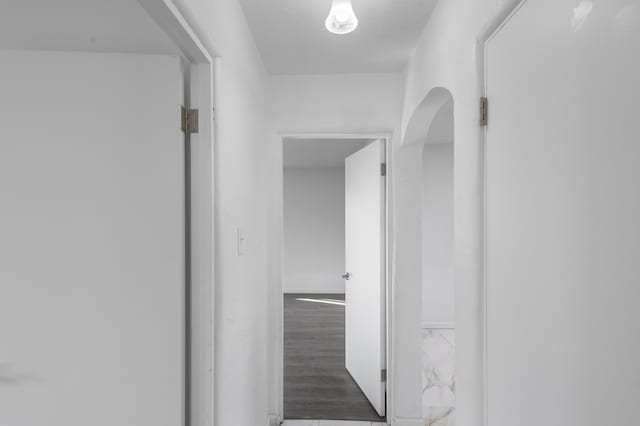 corridor with dark hardwood / wood-style floors