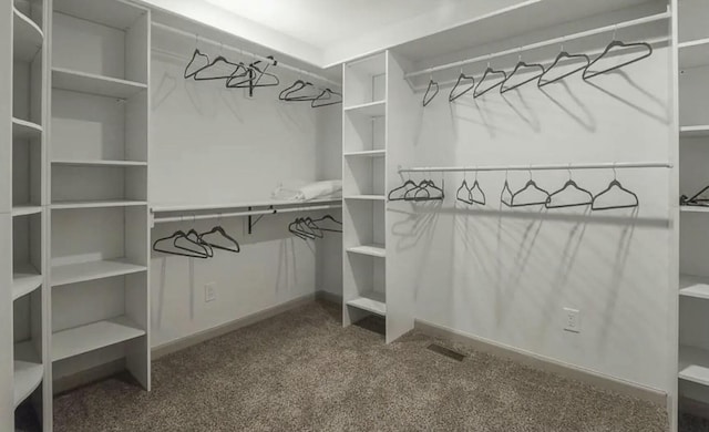 walk in closet with carpet