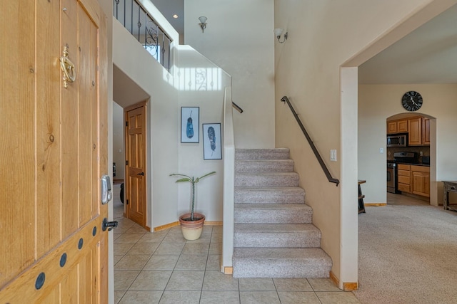 staircase with carpet flooring