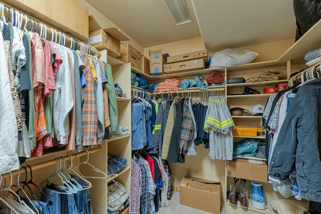 walk in closet featuring carpet floors