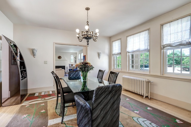 dining room featuring radiator, a wealth of natural light, an inviting chandelier, and light hardwood / wood-style floors