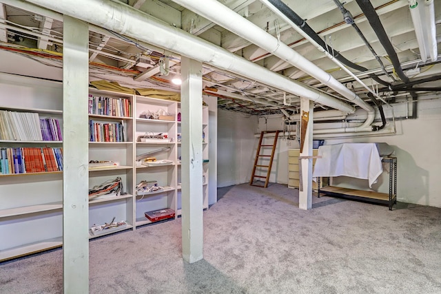 basement featuring carpet flooring