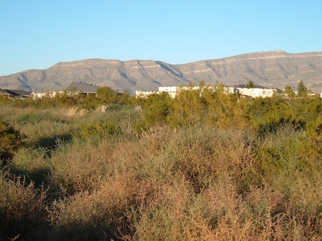 Listing photo 3 for 0 Divers Cv, Alamogordo NM 88310