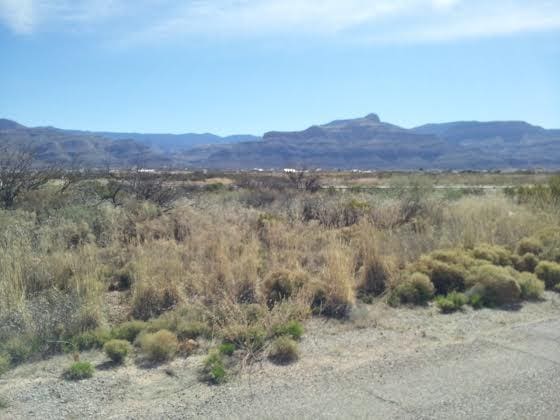 Listing photo 2 for 0 Hamilton Rd, Alamogordo NM 88310