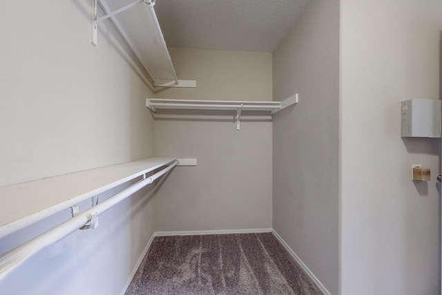 spacious closet featuring dark carpet