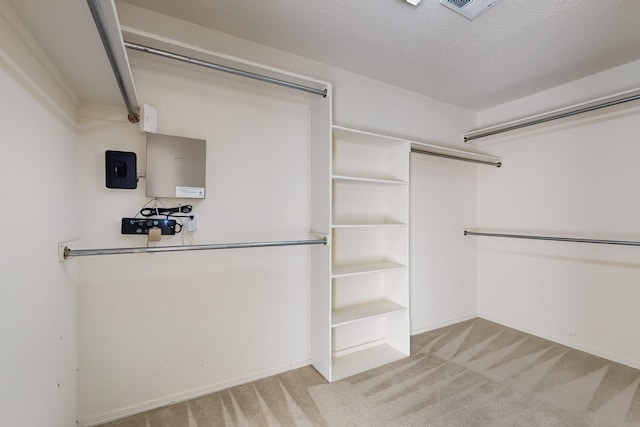 spacious closet featuring light colored carpet