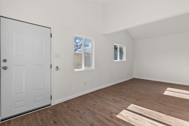 foyer entrance featuring dark hardwood / wood-style floors and high vaulted ceiling