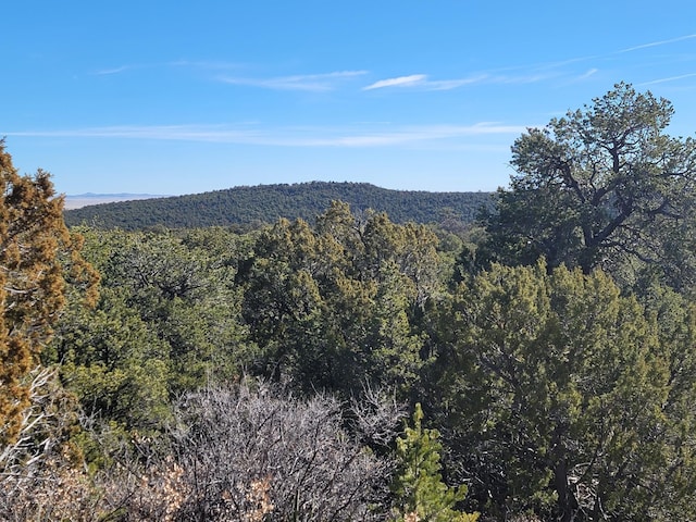 184 Sunlight Rd, Edgewood NM, 87015 land for sale