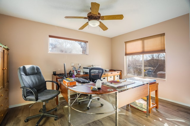 office featuring ceiling fan and wood-type flooring