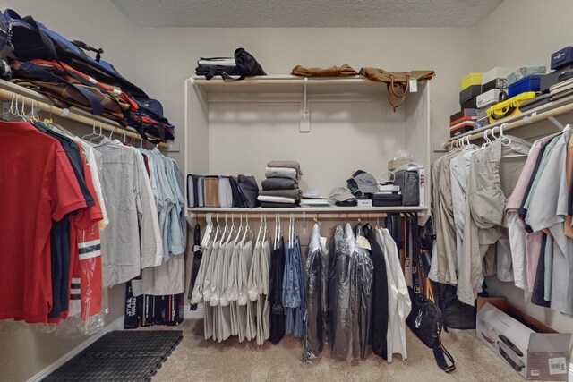 walk in closet featuring carpet flooring