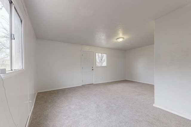 unfurnished room with carpet flooring