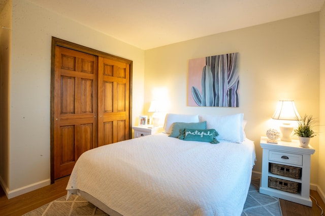 bedroom featuring a closet and wood-type flooring