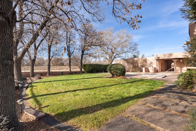 view of yard featuring a patio area