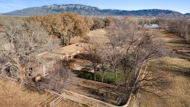 view of mountain feature