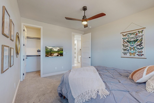 carpeted bedroom featuring a walk in closet, a closet, and ceiling fan