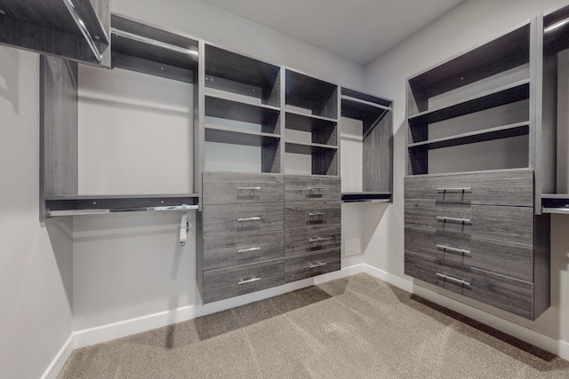 spacious closet featuring light carpet